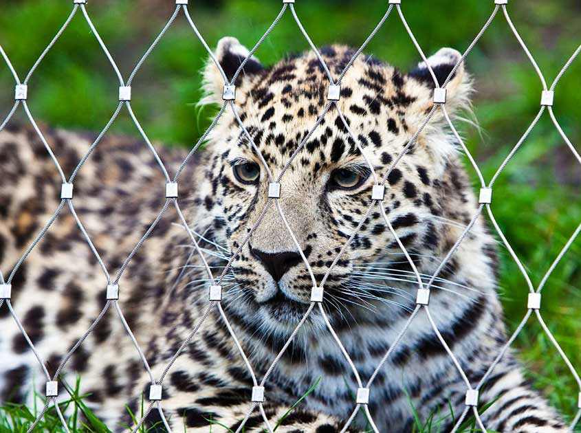 304 Stainless steel wire