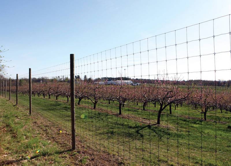 304 Stainless steel wire